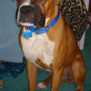 Rocky with a 'tude