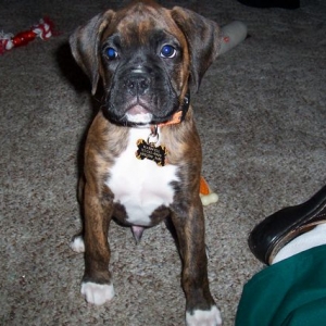 My_Boy