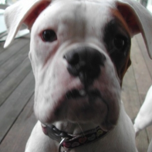 LeRoy