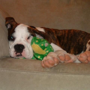 With my froggy