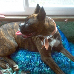 Frey at the front window