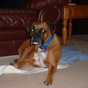 Buster