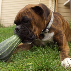 Mmmm...yummy