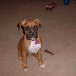 Buster