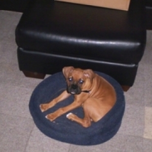 MINE