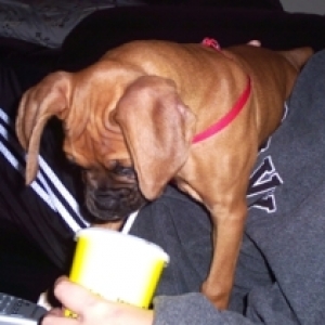 I don't get the straw thing