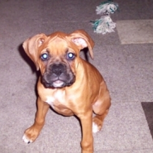 I'm cute....