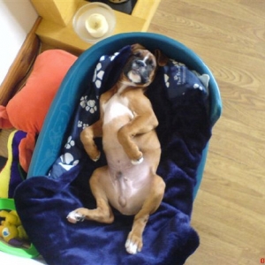 life is sooo hard