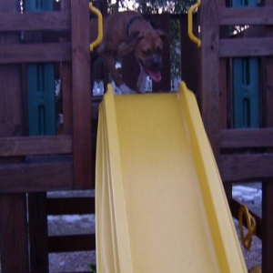 GingertopSlide