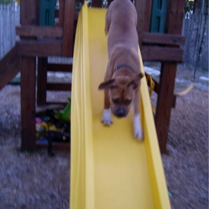 Going Down!