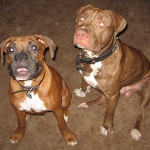 Best Buds!
