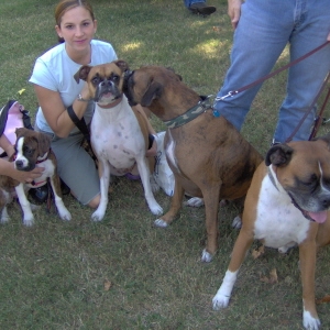 Oh boy a big group of boxers