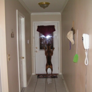 Here comes Daddy!