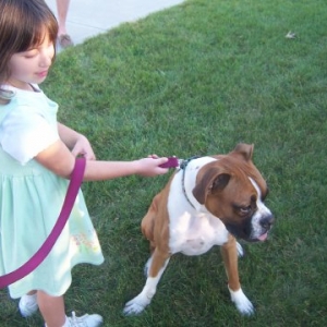 odie