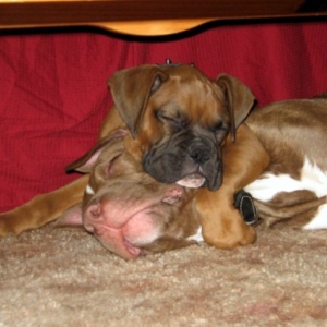 Sleeping Soundly