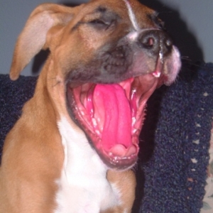 Keeya's Red Mouth