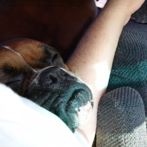 Snoozin