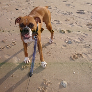 Life's a Beach
