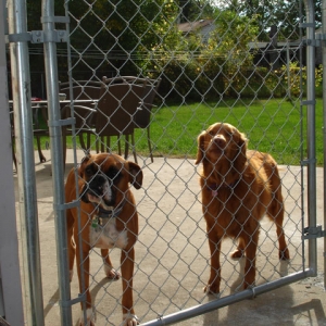 Macon and Angel