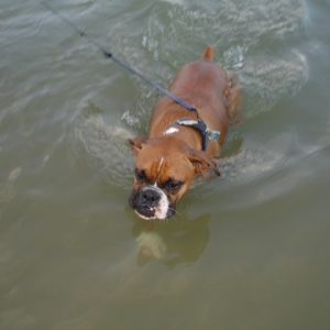 Swimming