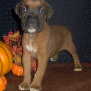10/14