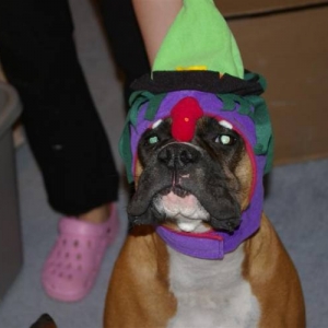 Happy Halloween?