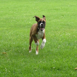 Running Boy