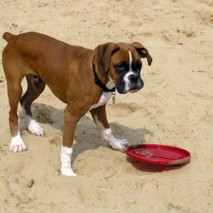 Is someone going to throw this?