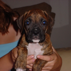 New baby Baron