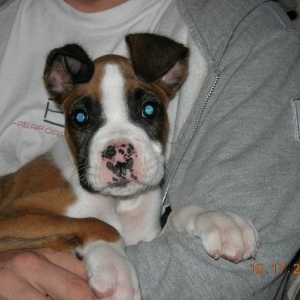 New Baby