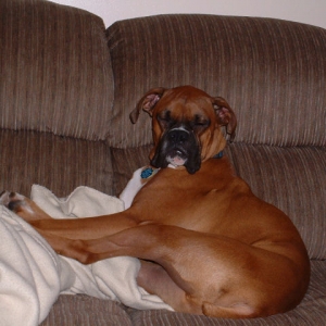 Samson Sleeping