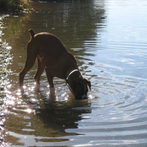 Gone Fishing