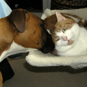 Let Me Whisper in Your Ear