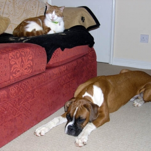 He Knows His Place
