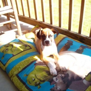 Star relaxing
