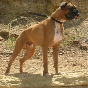 Snatch at the lake