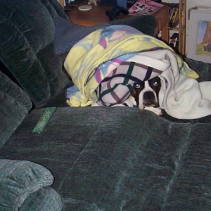 Peek