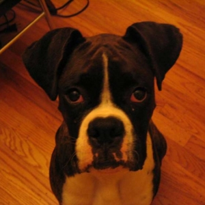 Cassius at home