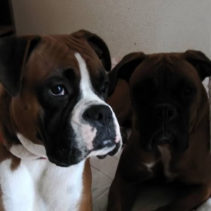 both my babies