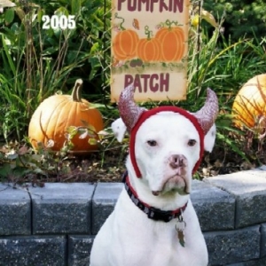 Happy Halloween!