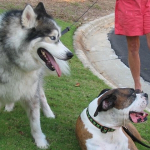 Pete and Sitka
