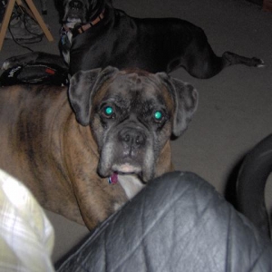 max