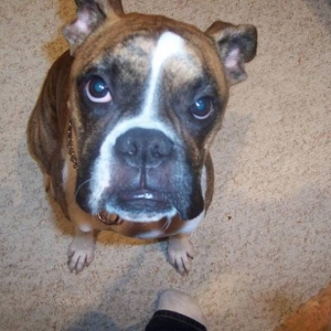 Can I play with that camera now?