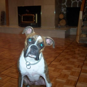 kiko is tired of taking photos..