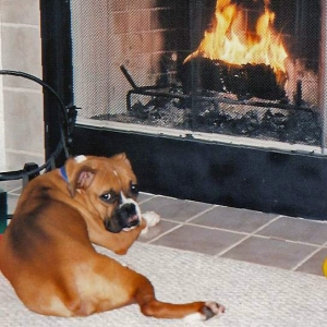 Cozy Fireplace