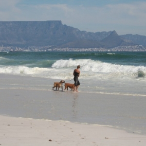 At the beach ..