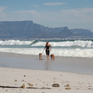 At the beach ...