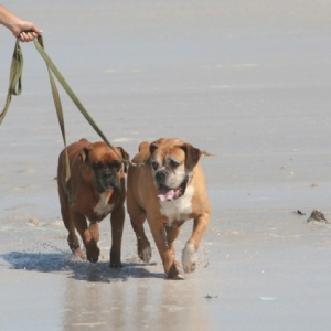 At the beach ....