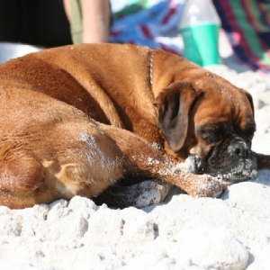 At the beach ..