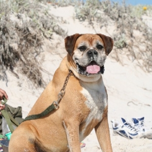 At the beach